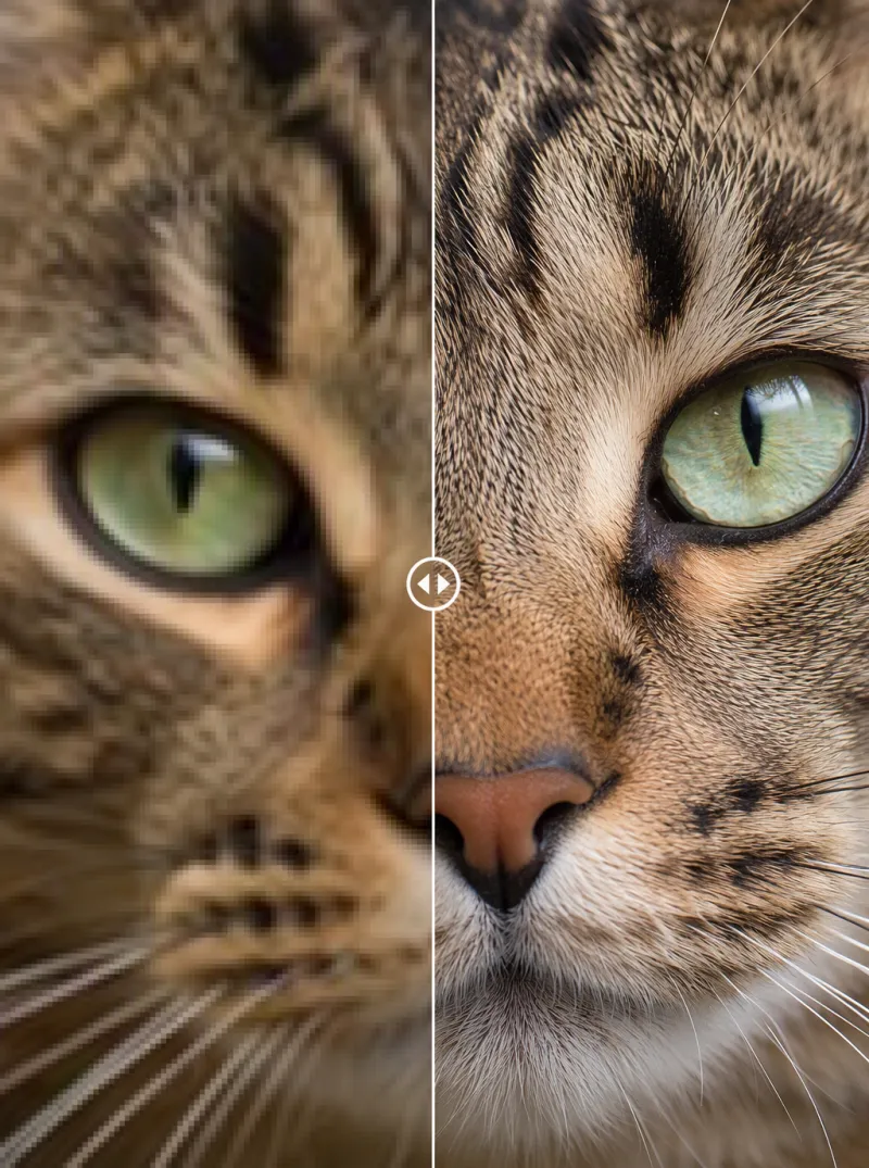 Antes/después: pelaje y ojo de animal