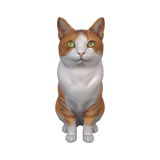 3d cat multi-view.gif